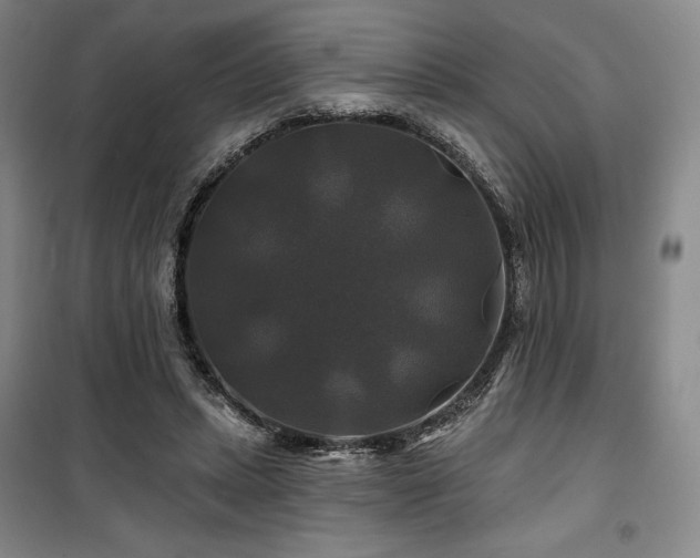 X0000100370447200806061159