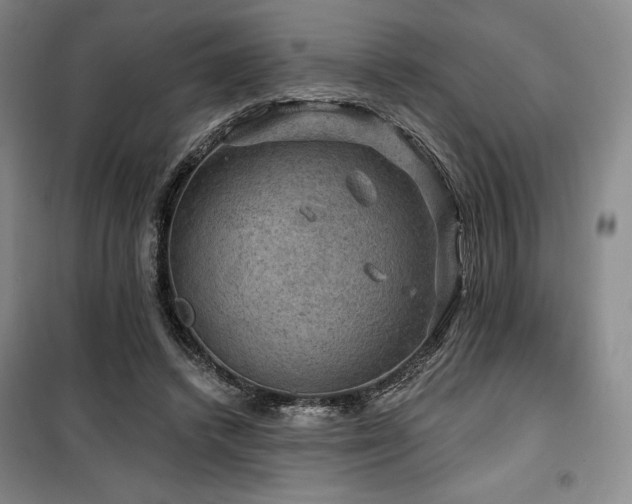 X0000100370448200806061159