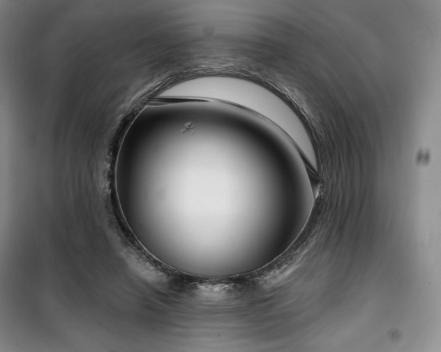 X0000100370450200806061159