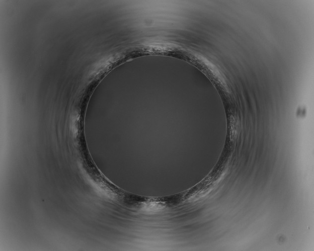 X0000100370451200806061159