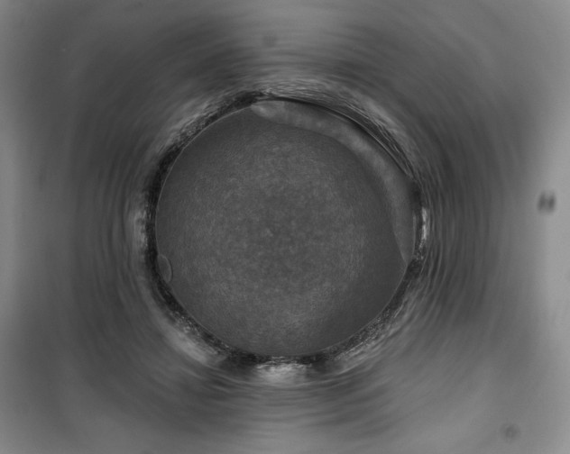 X0000100370452200806061159