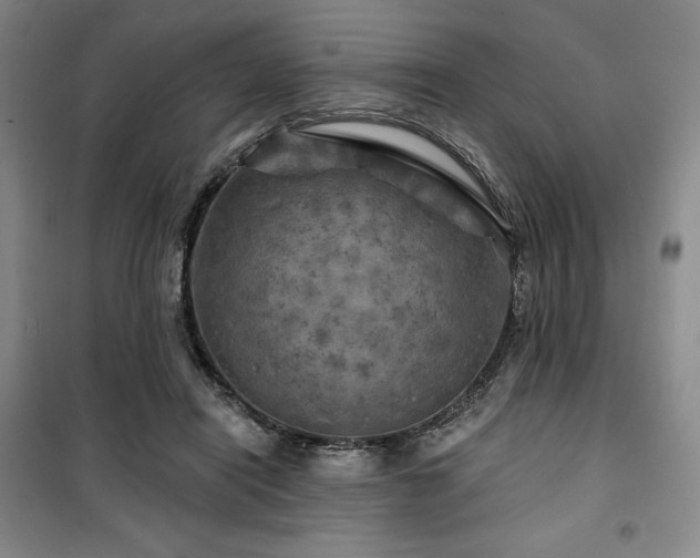 X0000100370454200806061159