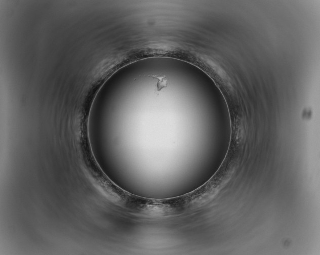 X0000100370455200806061159