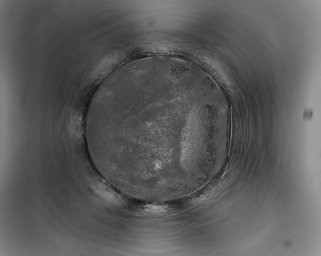 X0000100370457200806061159