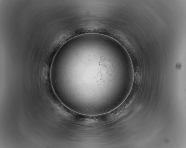 X0000100370458200806061159