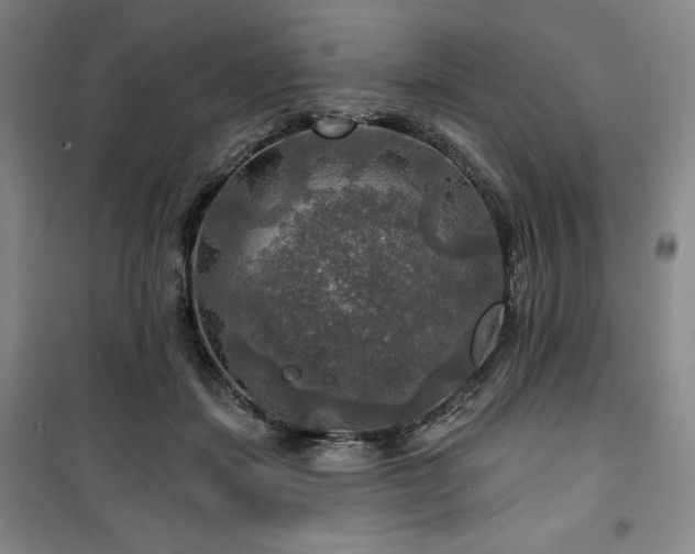 X0000100370459200806061159