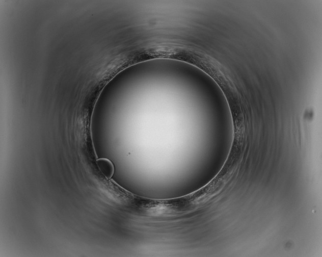 X0000100370460200806061159