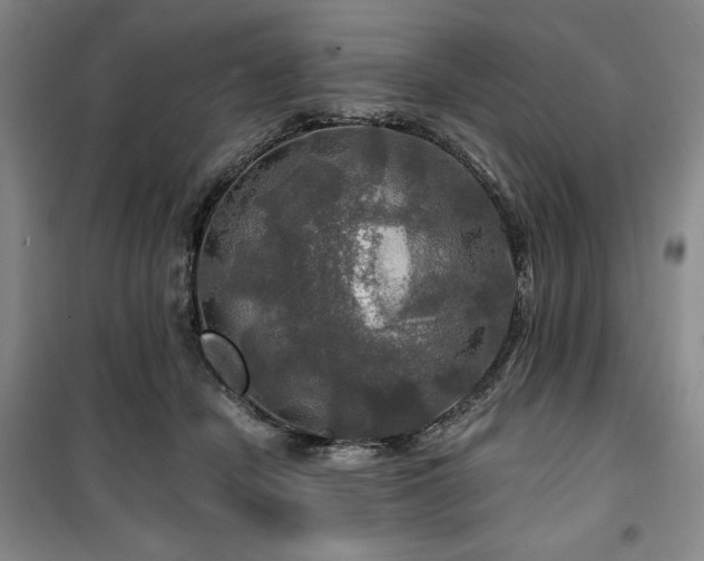 X0000100370462200806061159