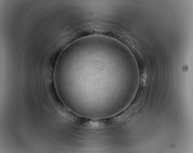 X0000100370464200806061159