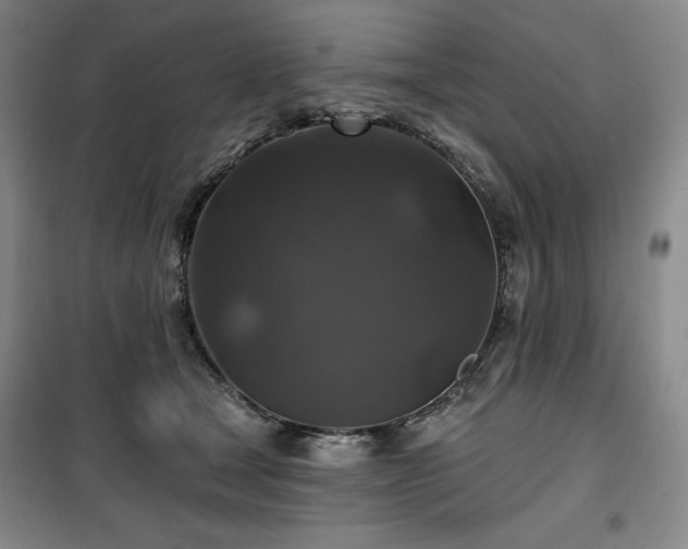 X0000100370465200806061159