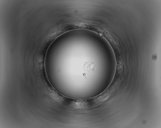 X0000100370466200806061159