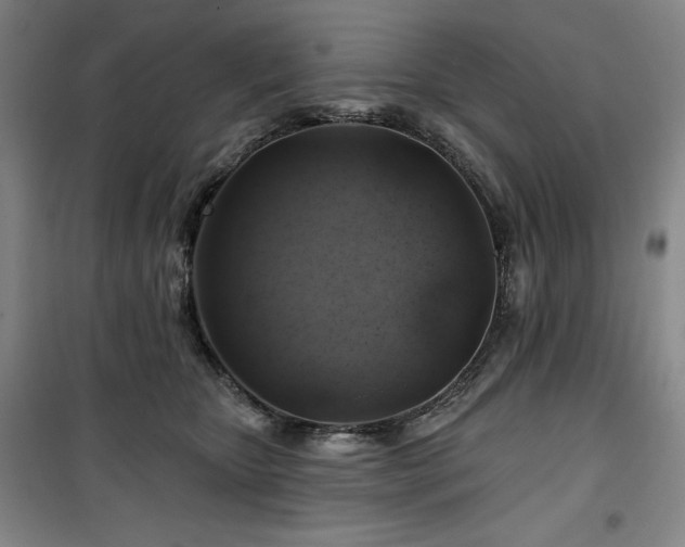 X0000100370467200806061159