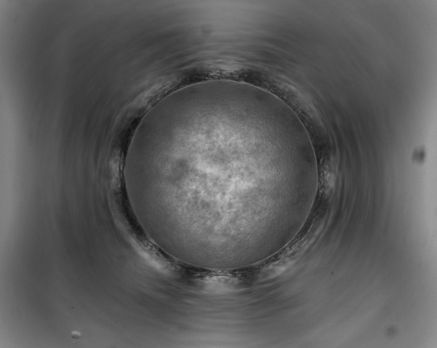 X0000100370468200806061159