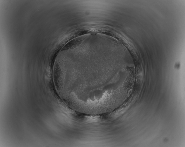 X0000100370469200806061159