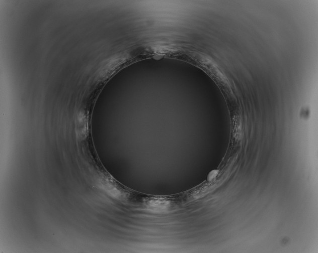 X0000100370471200806061159