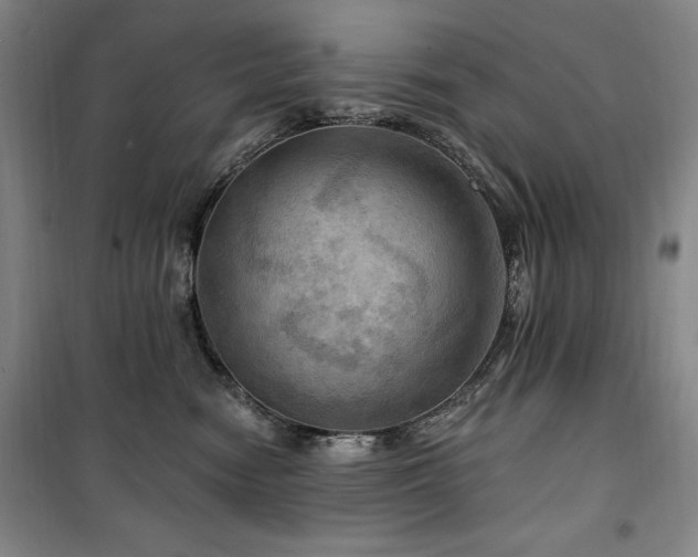 X0000100370474200806061159