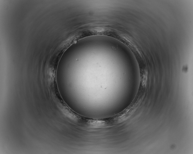 X0000100370476200806061159