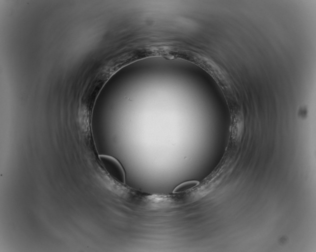 X0000100370477200806061159