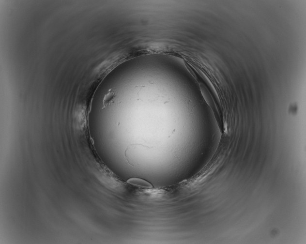 X0000100370478200806061159