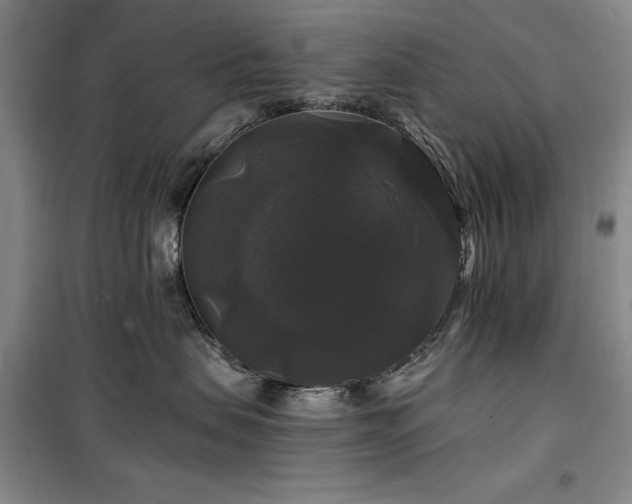 X0000100370479200806061159