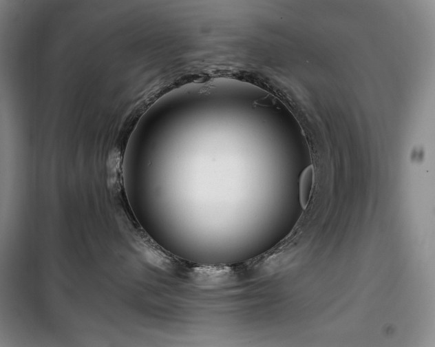 X0000100370480200806061159