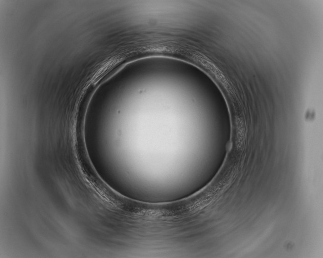 X0000100370482200806061159