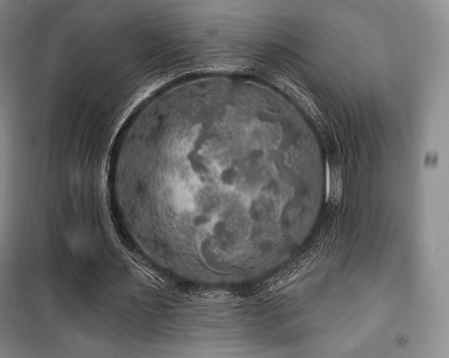 X0000100370483200806061159