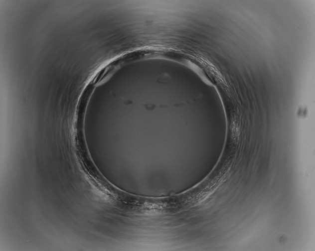 X0000100370484200806061159