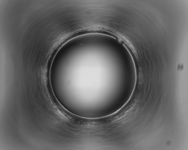 X0000100370485200806061159