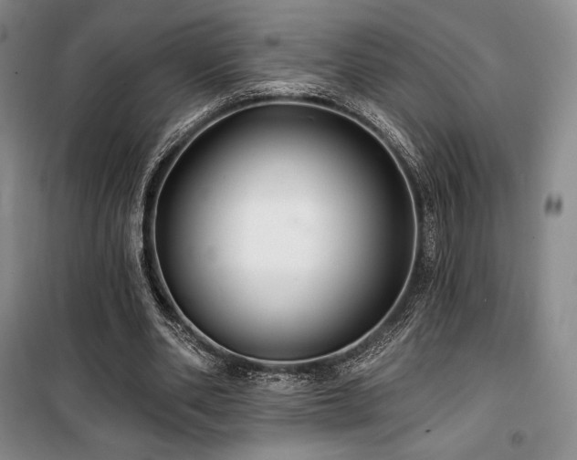 X0000100370486200806061159