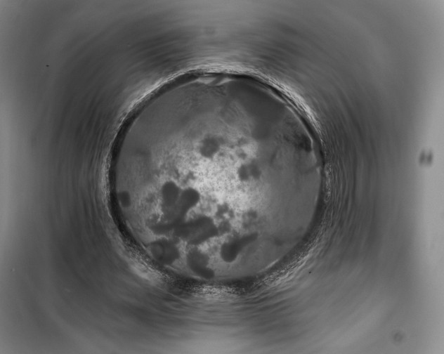 X0000100370487200806061159