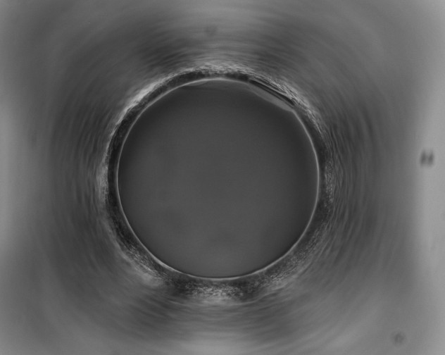 X0000100370488200806061159