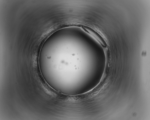 X0000100370489200806061159