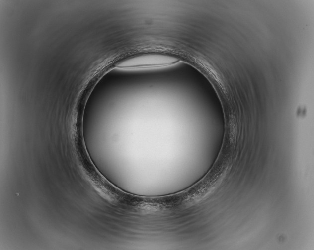 X0000100370490200806061159