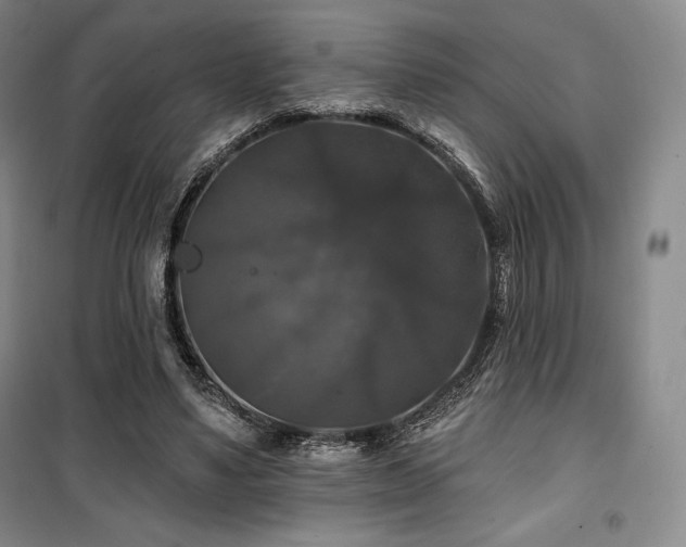 X0000100370491200806061159