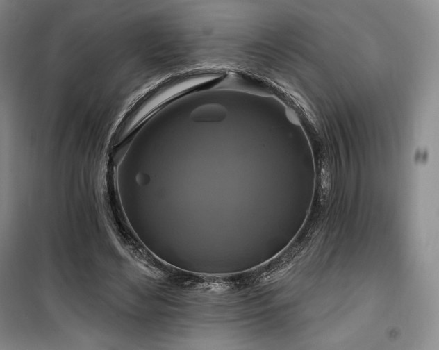 X0000100370492200806061159