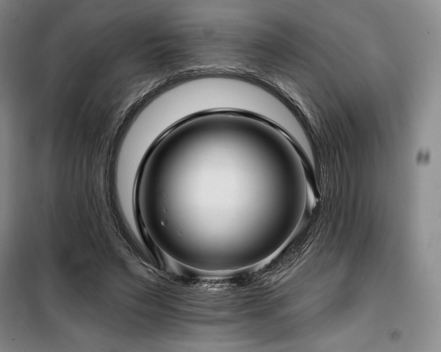 X0000100370495200806061159