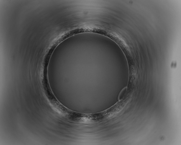 X0000100370496200806061159