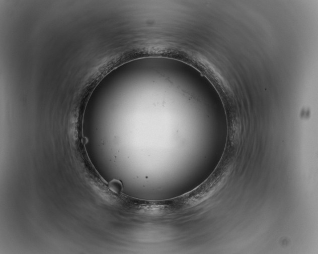 X0000100370497200806061159