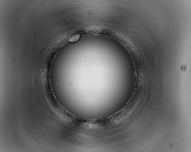 X0000100370498200806061159