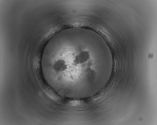 X0000100370499200806061159