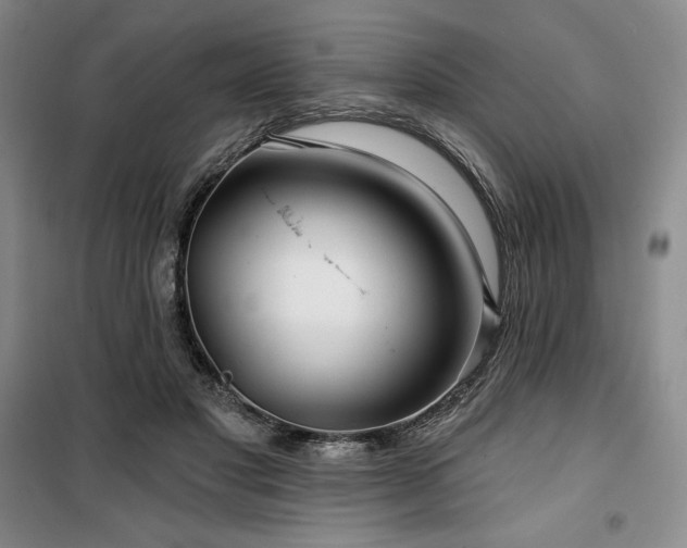 X0000100370501200806061158