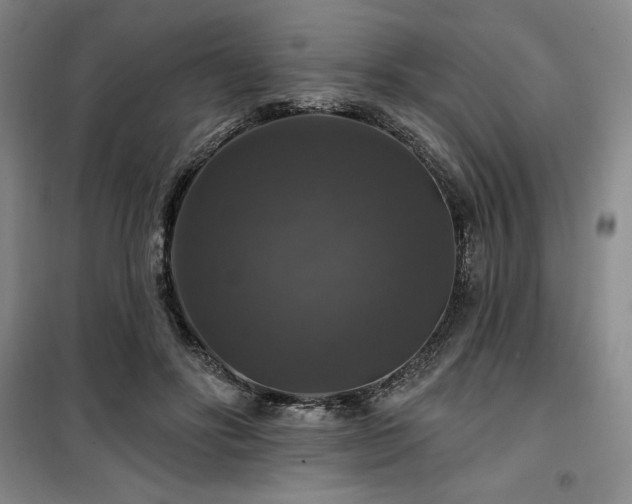 X0000100370502200806061158