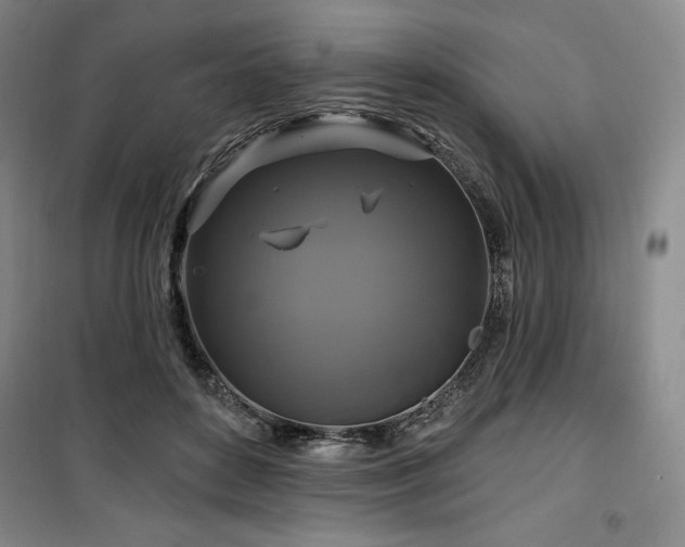 X0000100370504200806061158