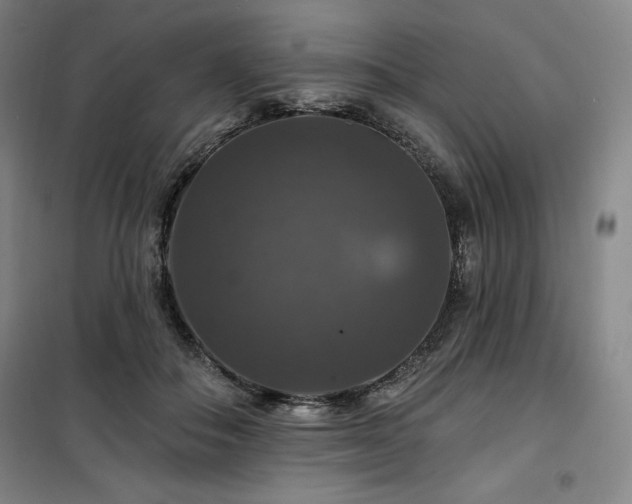 X0000100370506200806061158