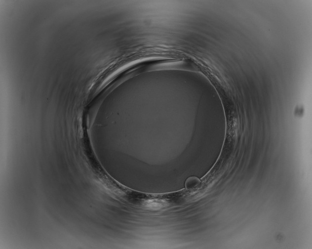 X0000100370508200806061158