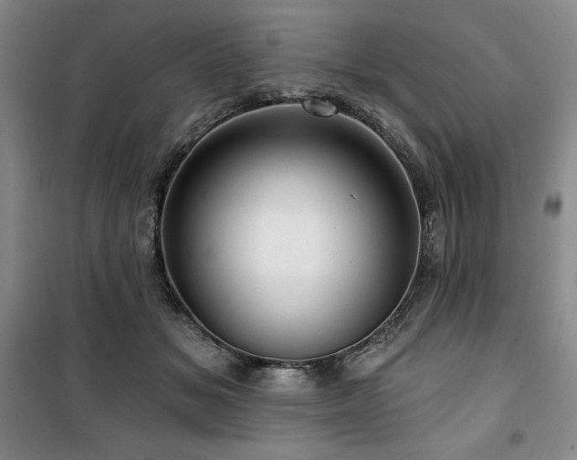 X0000100370509200806061158