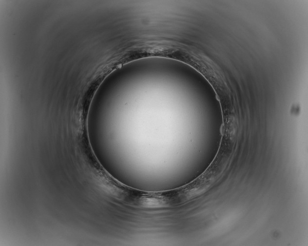 X0000100370510200806061158