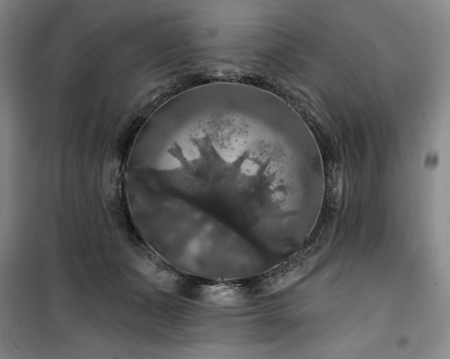 X0000100370511200806061158