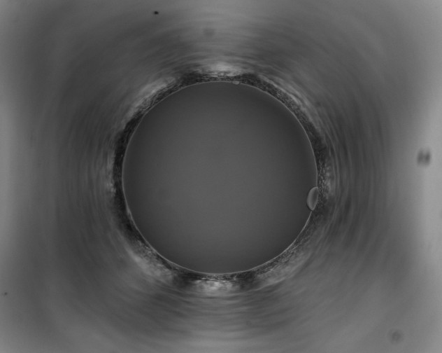 X0000100370512200806061158